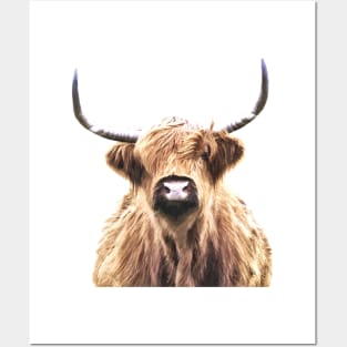 Highland Cow Posters and Art